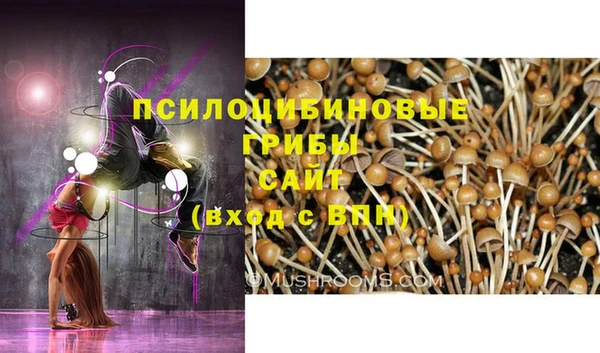 мескалин Белокуриха