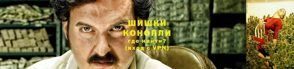 PSILOCYBIN Беломорск