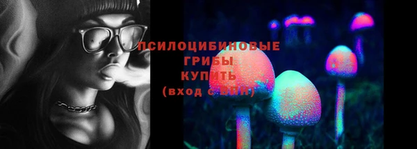 дурь Белоозёрский