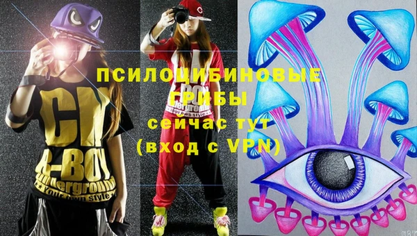 PSILOCYBIN Беломорск