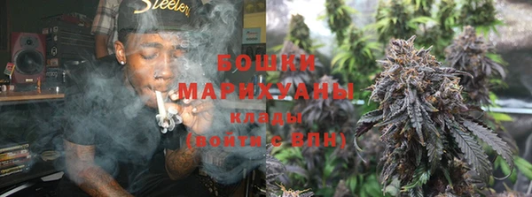 PSILOCYBIN Беломорск