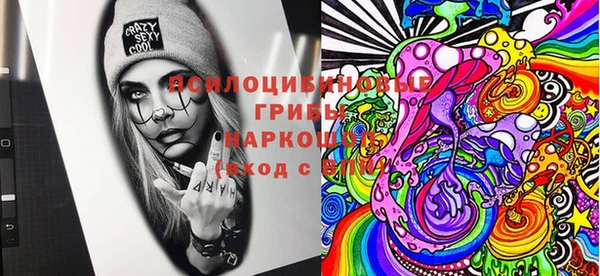 PSILOCYBIN Беломорск