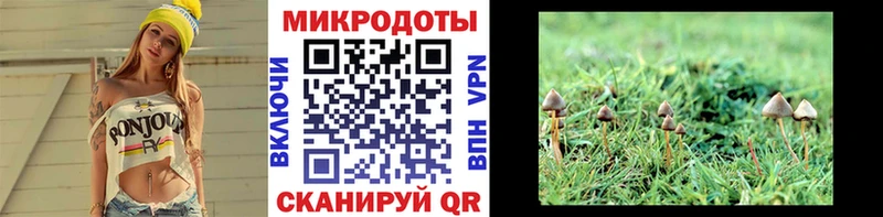 Псилоцибиновые грибы прущие грибы  хочу   Морозовск 
